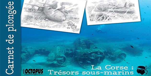 Carnet de plongée : La Corse, trésors sous-marins