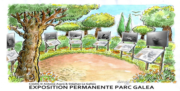 Taglio-Isolaccio : Trois jours pour le 1er festival des origines au Parc Galea