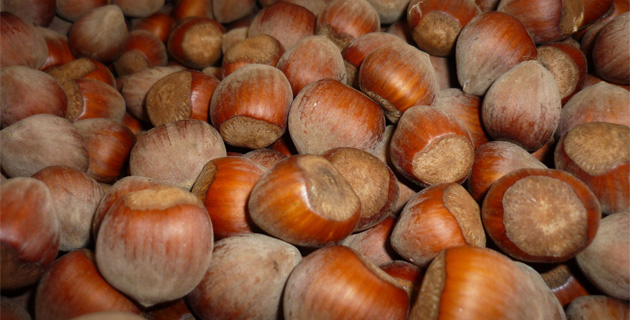 Commission européenne : L'IGP pour la Nuciola di Cervioni