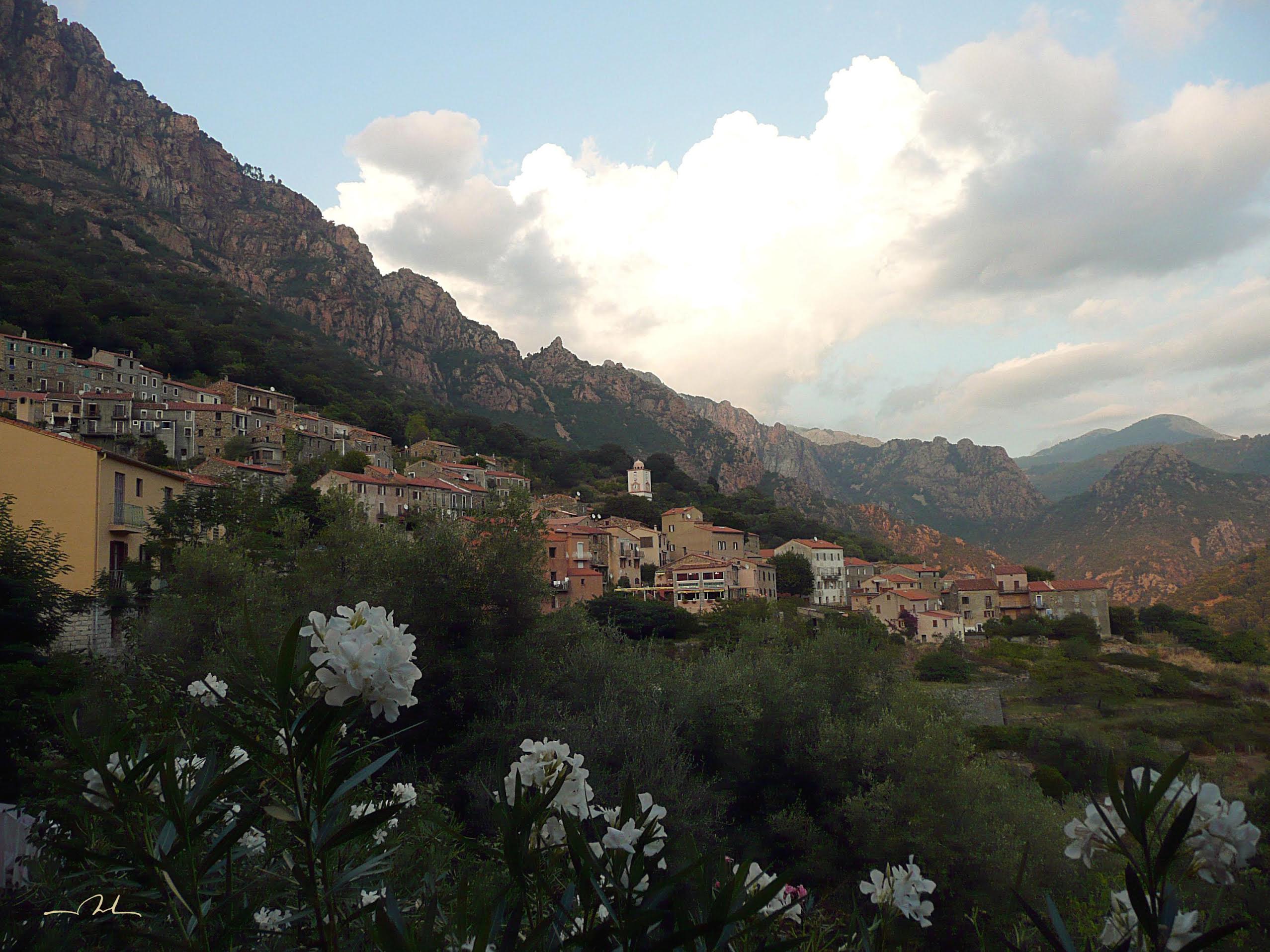 La photo du jour : "Ota, une oasis méditerranéenne entre de hautes murailles"