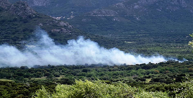 Deux importants écobuages au col de Battaglia et dans le Régino