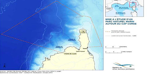 Mise à l’étude d’un parc naturel marin au nord de la Corse