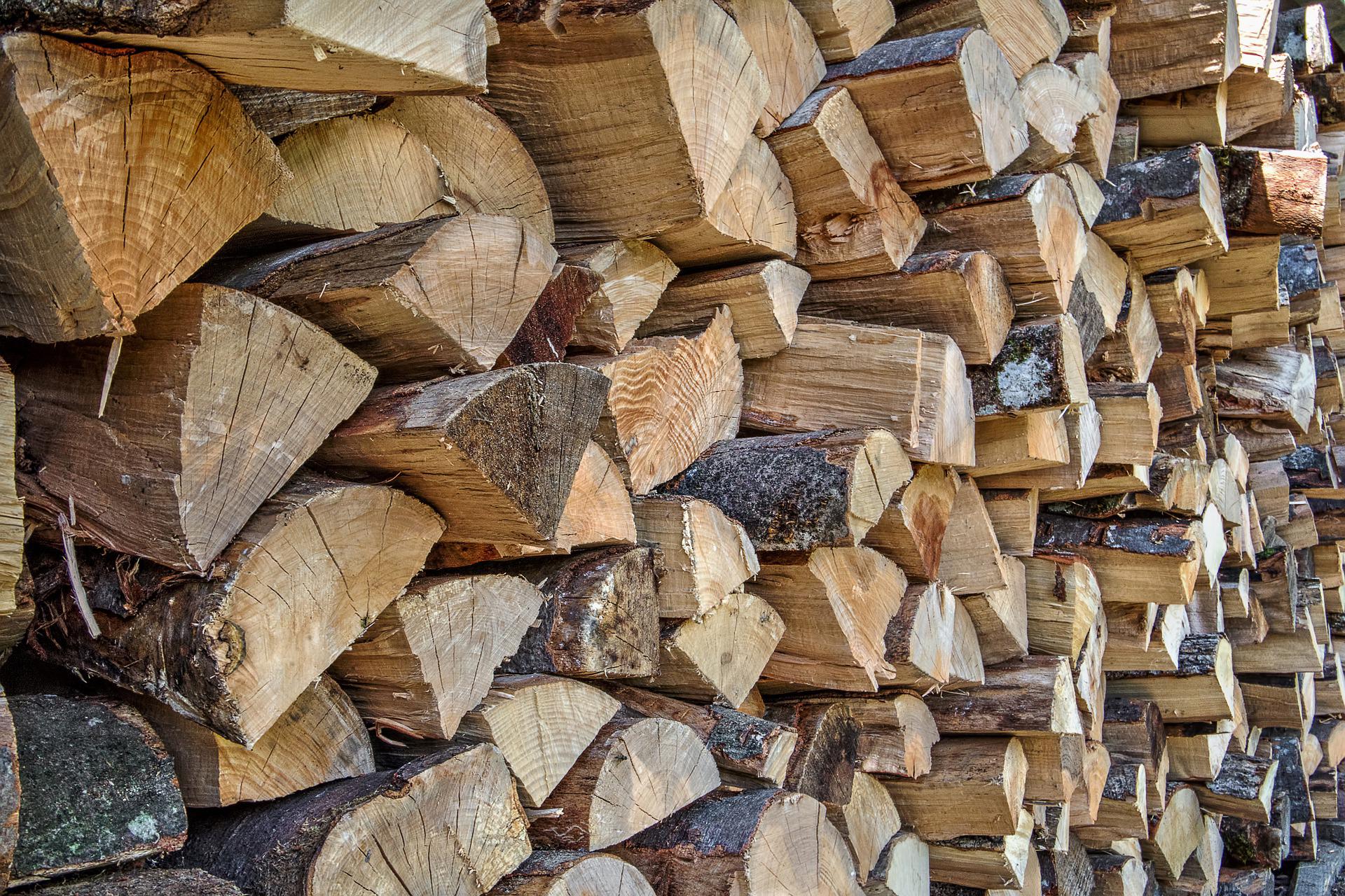 Le bois sec reste le moyen de se chauffer le moins cher sur le marché.
