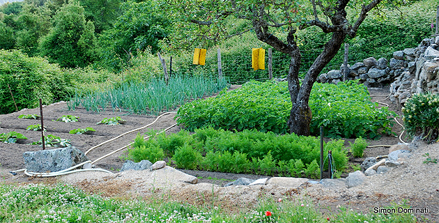 L’ortu : Campà in sti paesoli
