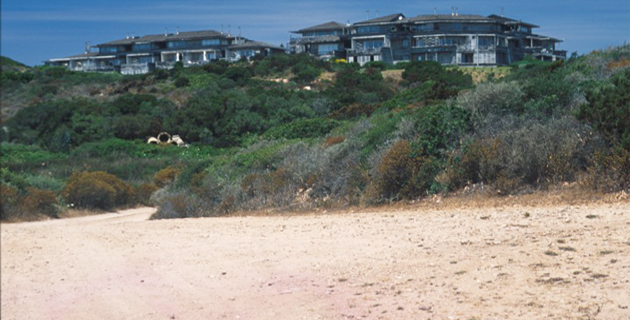 Les immeubles sans permis de Piantarella (U Levante)