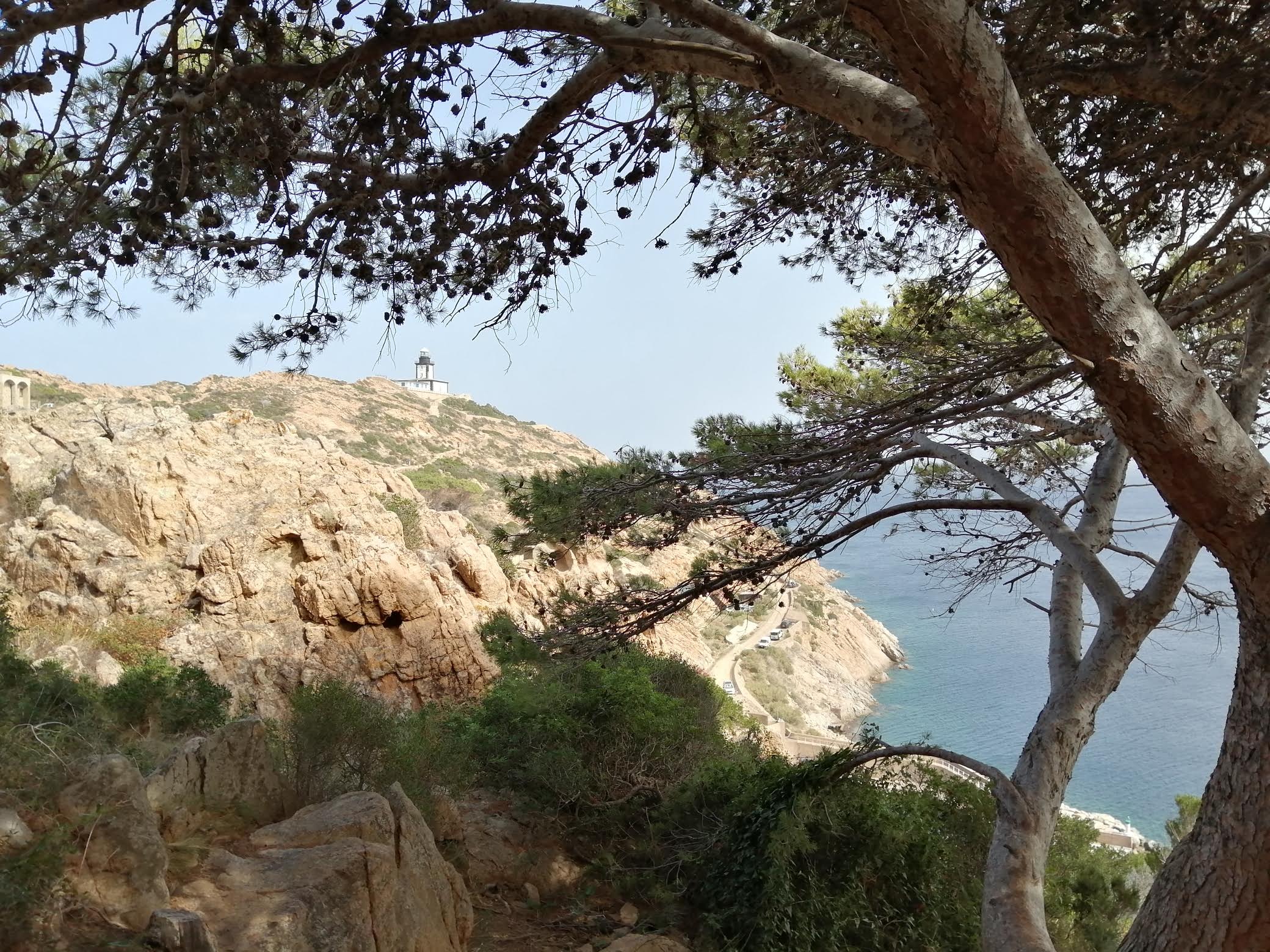 La photo du jour : rando à La Revellata