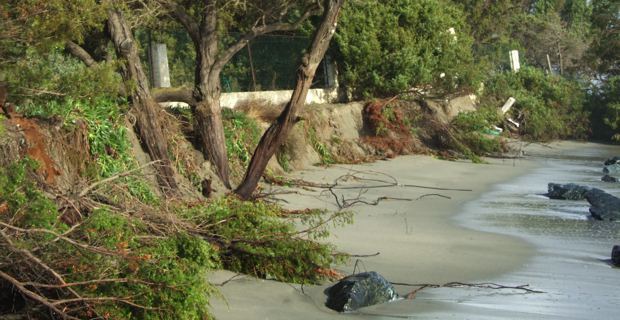 Erosion du littoral : "Envisager une gestion collective du problème"