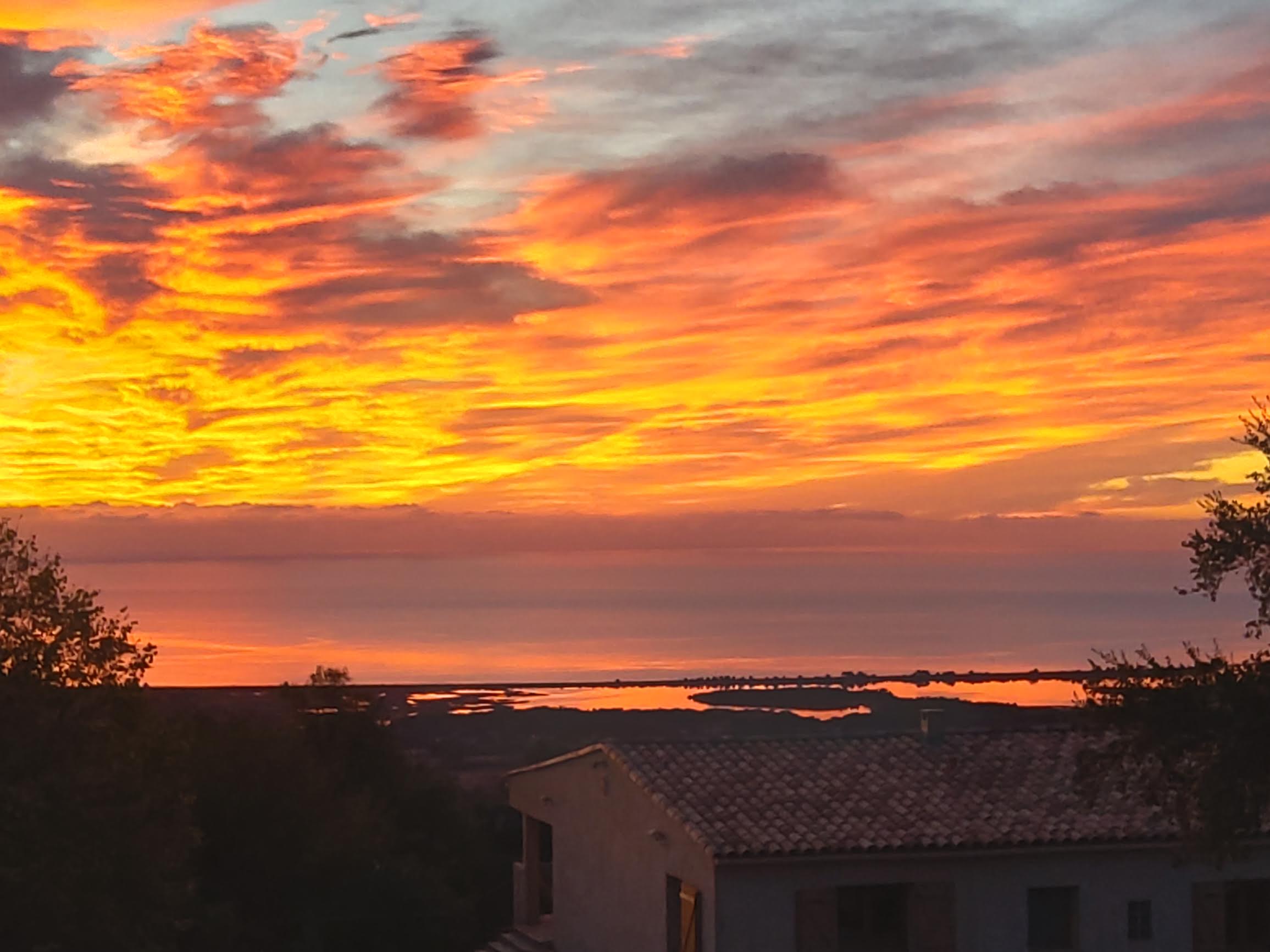 La photo du jour : l'aurore à l'étang de Palu