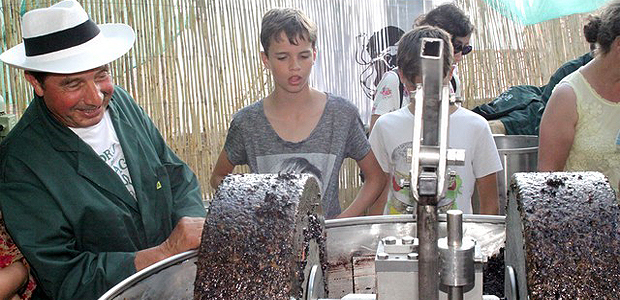 Avec le moulin portatif de la coopérative oléicole de la Balagne la démonstration sera permanente