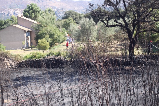 A Calenzana, les flammes sont arrivées au bord des habitations