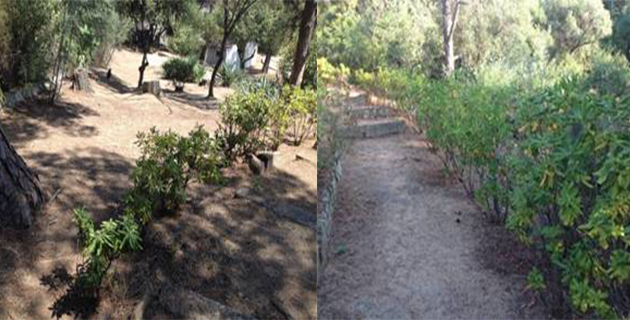 Ajaccio : Le Casone retrouve des couleurs