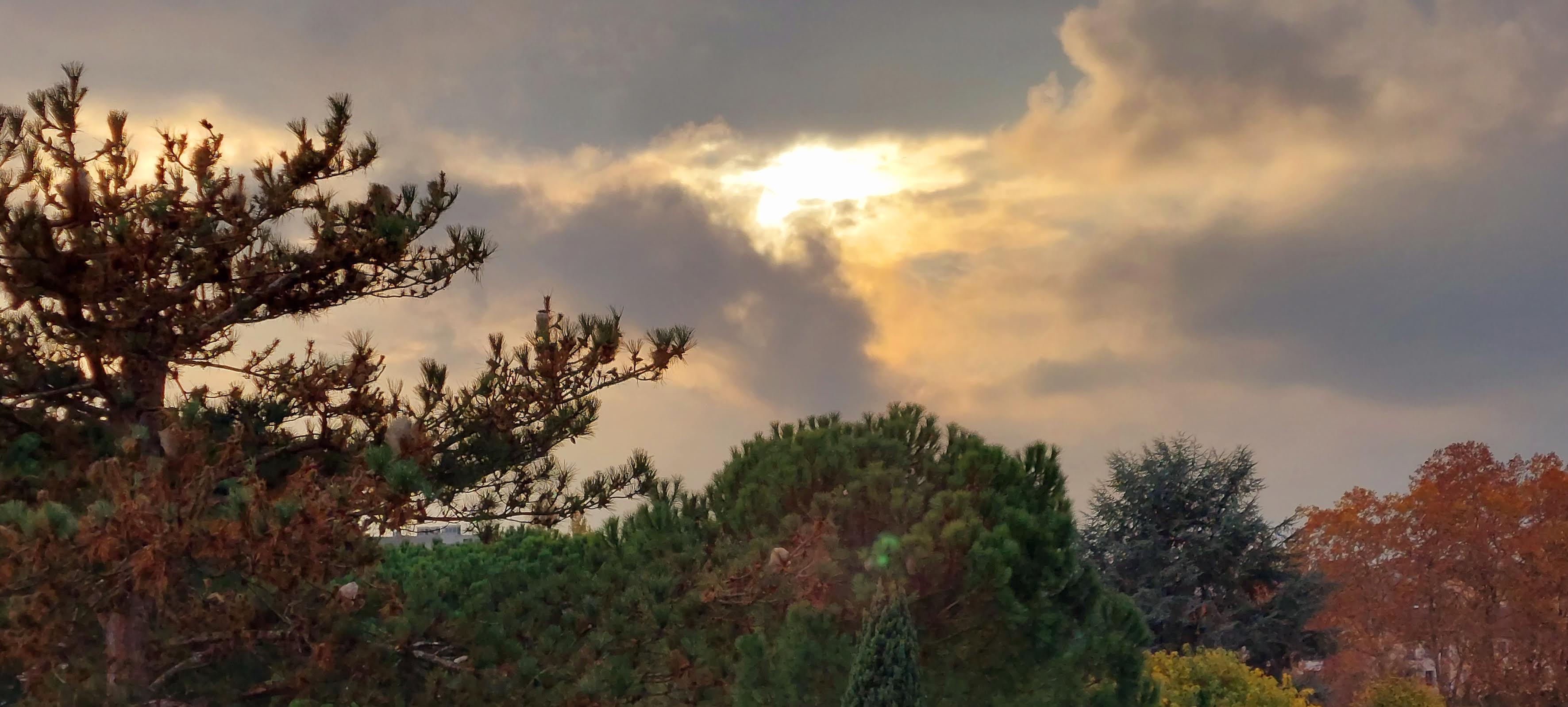 (Françoise Geronimi)