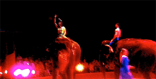 Bastia : Le Crique Medrano enchante petits et grands