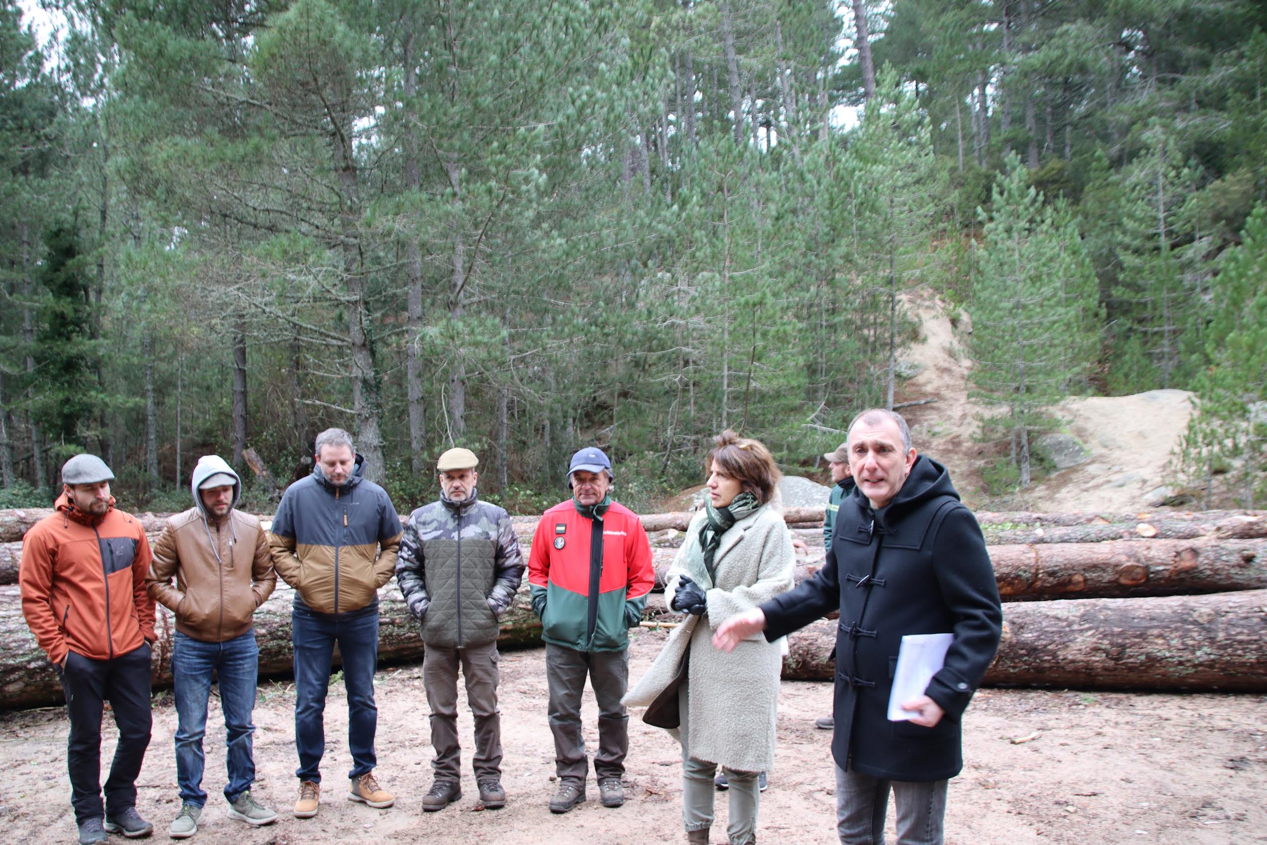 Pour le développement de la filière bois sur le territoire de la commune de Portivechju