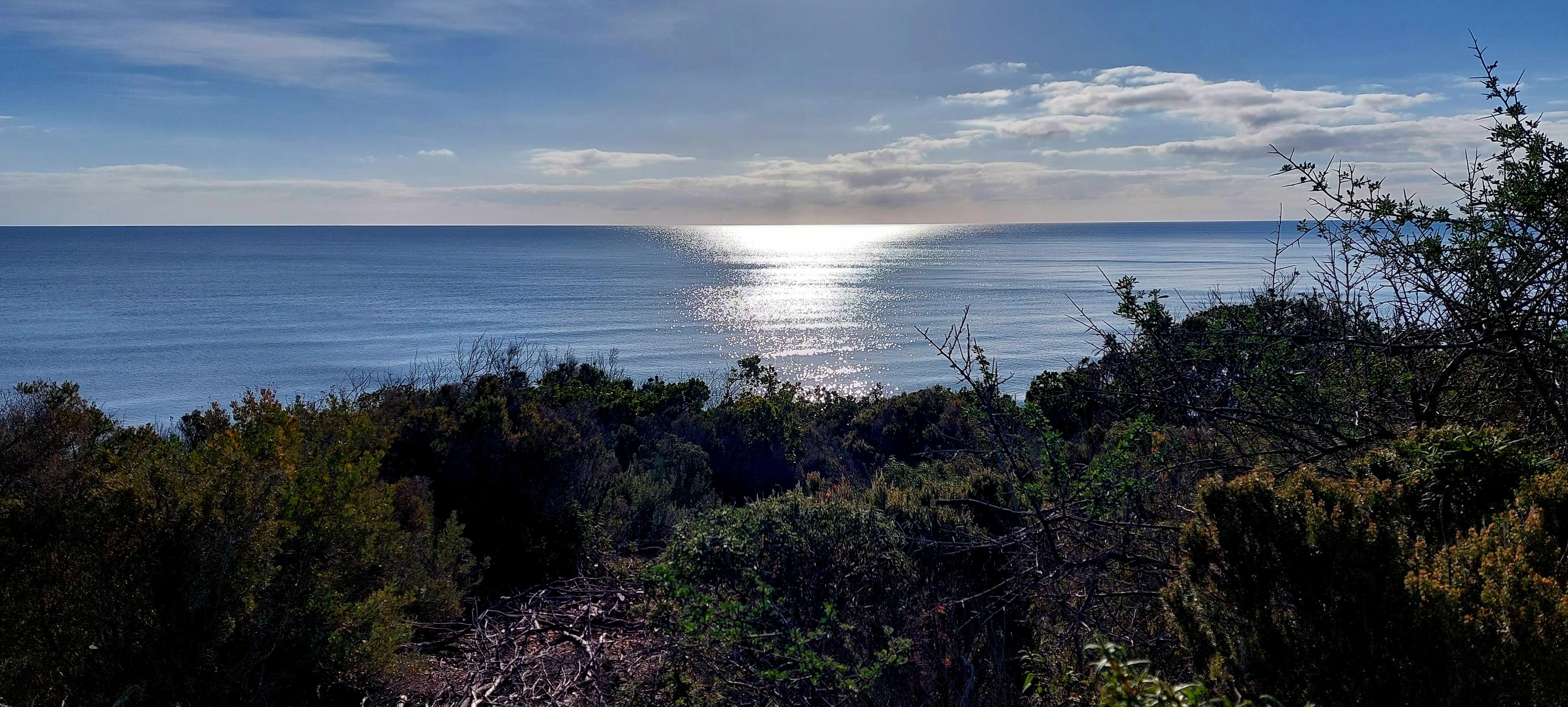 Terrenzzana (Françoise Geronimi)