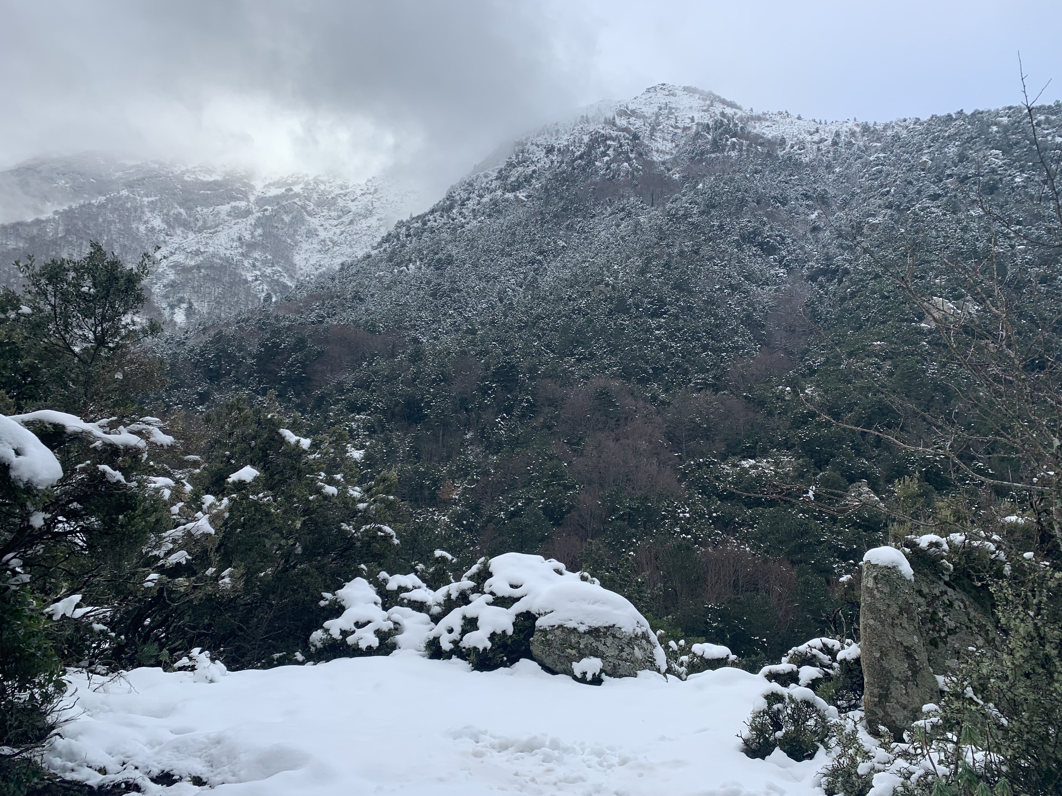 La neige a étendu son blanc manteau sur la Corse, jusqu'à basse altitude.