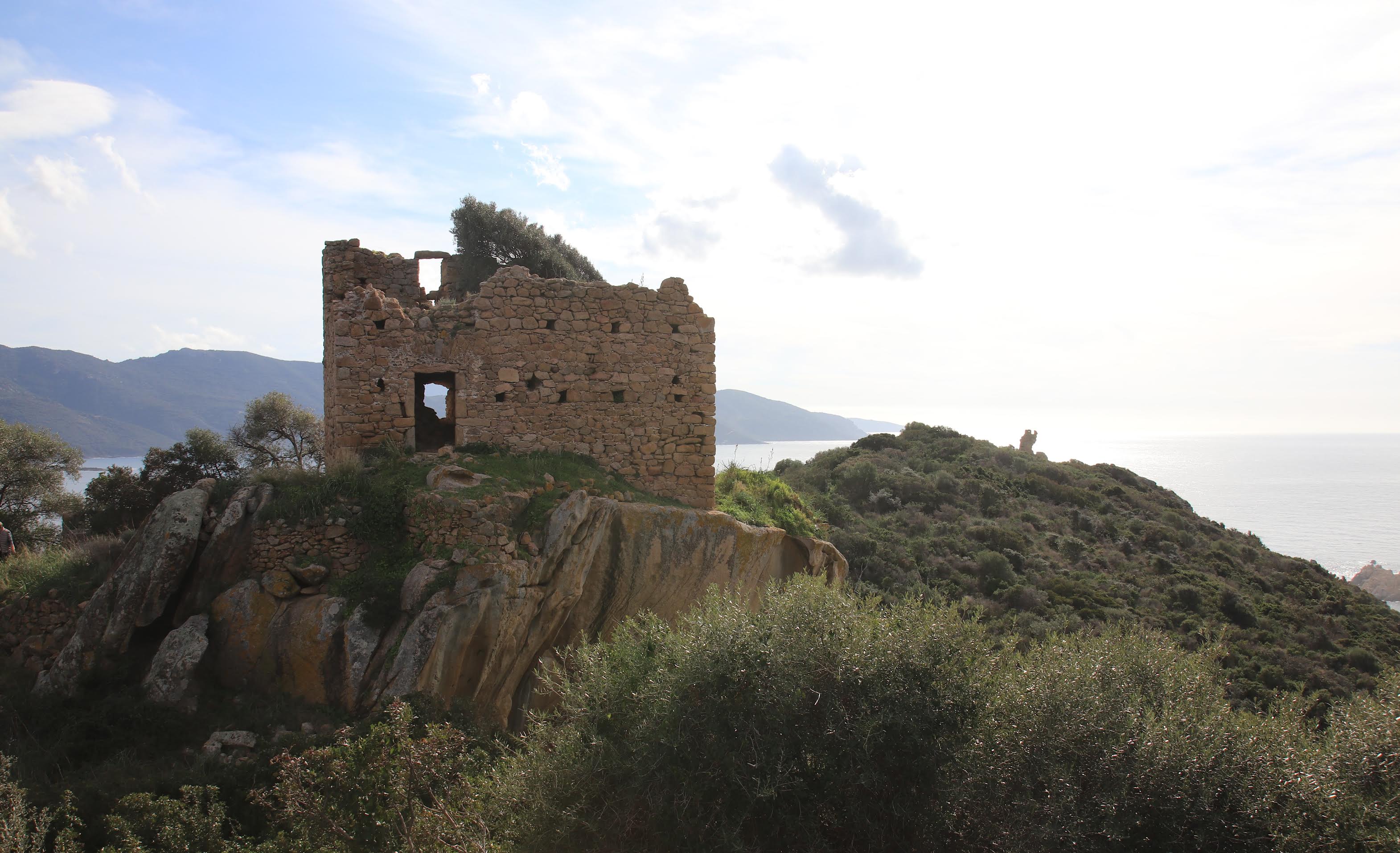 La photo du jour : la maison fortifiée  et la tour de Capigliolu