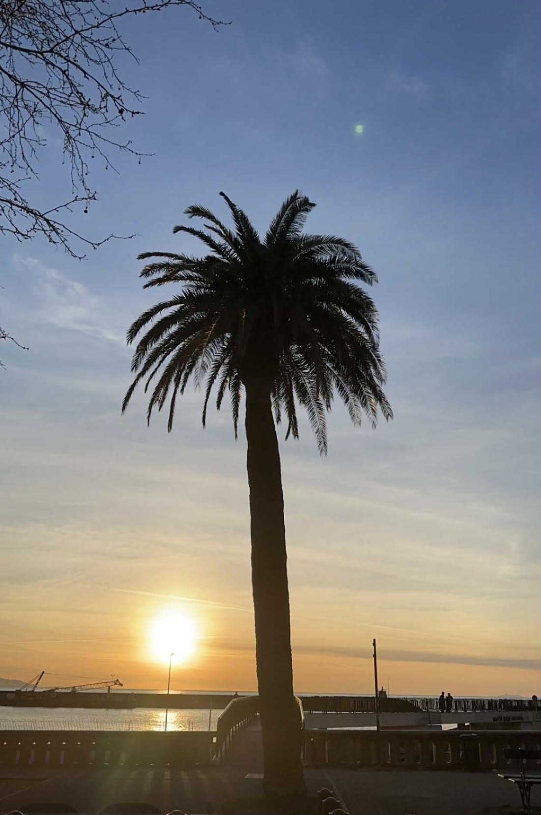 Le front de mer de Bastia (Resti Berlinghi)
