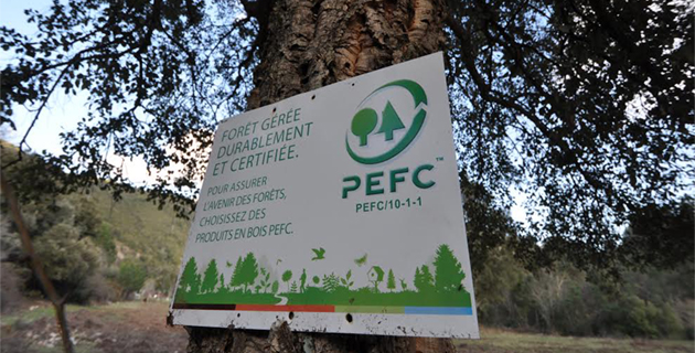 Certification forestière : La démarche se développe en Corse
