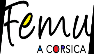 Femu a Corsica : « Le vote de l’assemblée de Corse  doit d’être respecté par l’Etat »