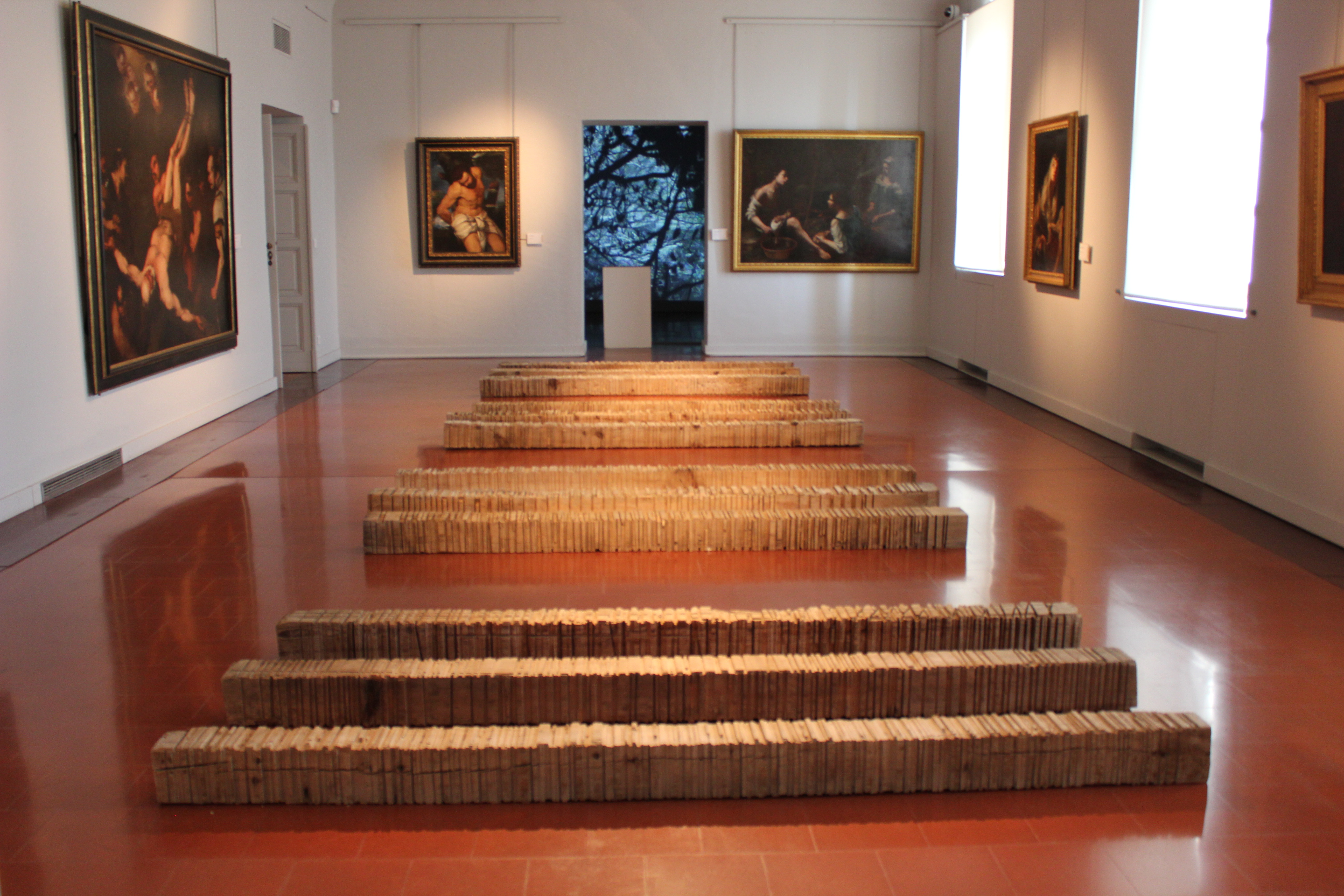 Ajaccio : La nature s'expose dans sa violence au musée Fesch