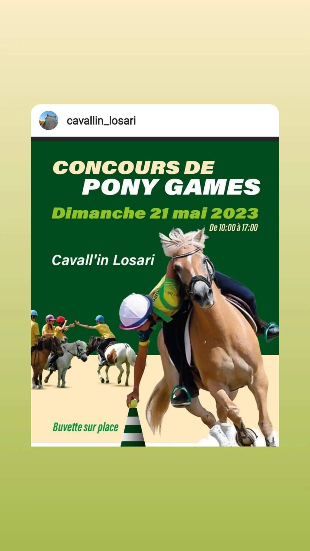 Un Concours Equestre de Pony Games De l’Association Cavall’in Losari ce dimanche 