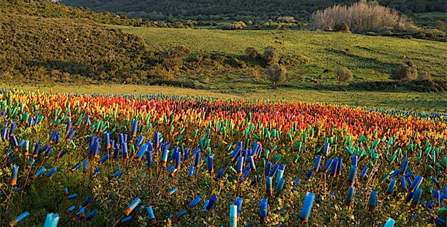 Vidéo de l'installation "Arc en cible" de Laetitia Carlotti