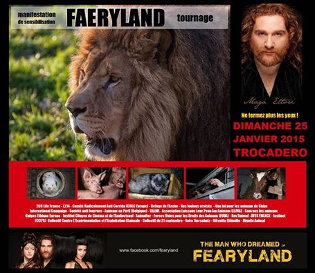 Magà Ettori rejoint la cause animale pour le dernier tableau de "Faeryland"