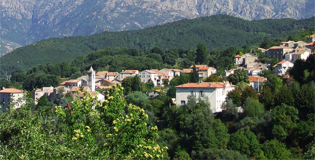 Centre de tri d'Ucciani : "​La SAS AM environnement est soucieuse du respect de l’environnement"