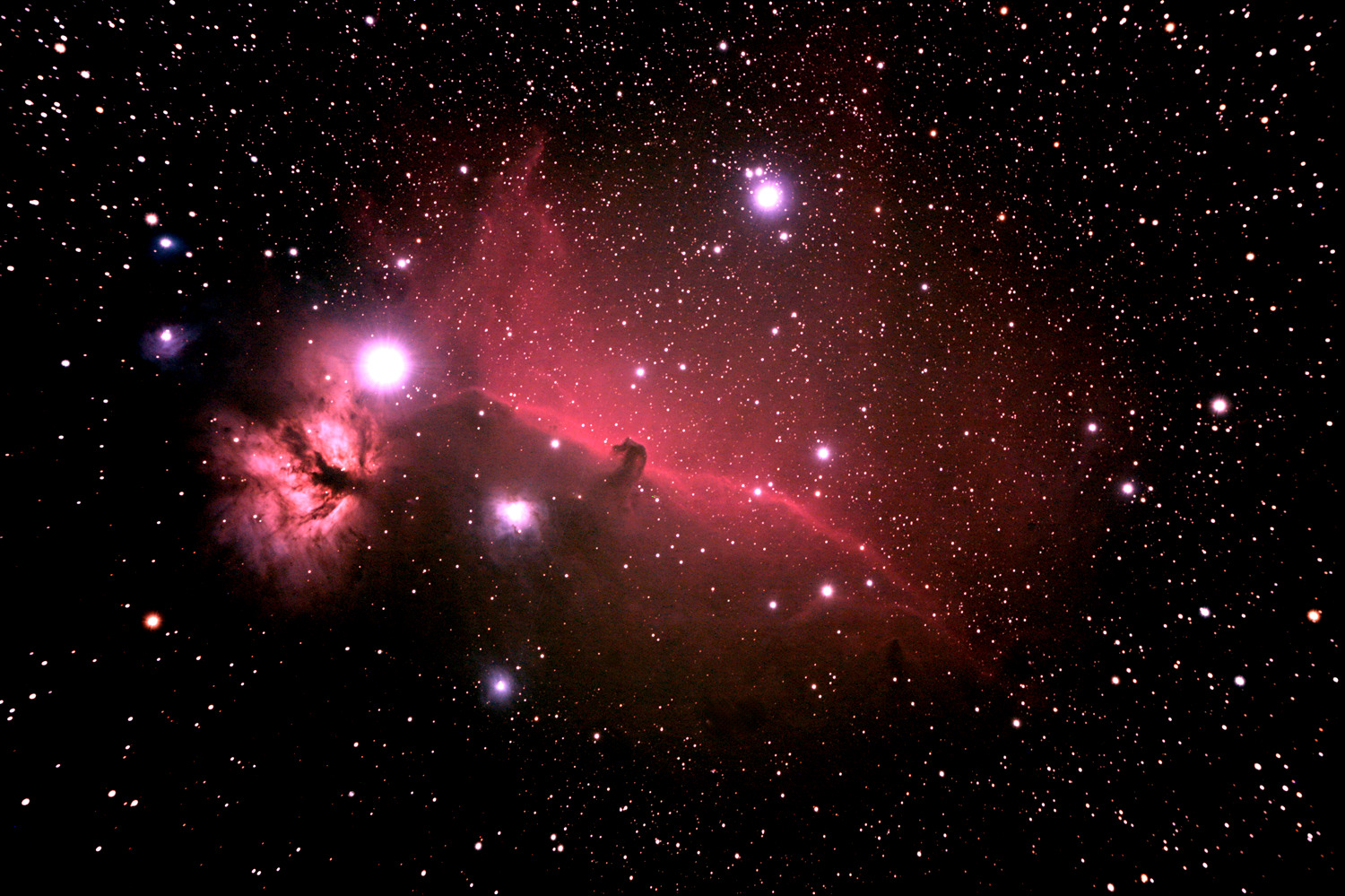 La nébuleuse dite de la " Tête de Cheval " dans la constellation d'Orion (photo:Alain Bartoli)