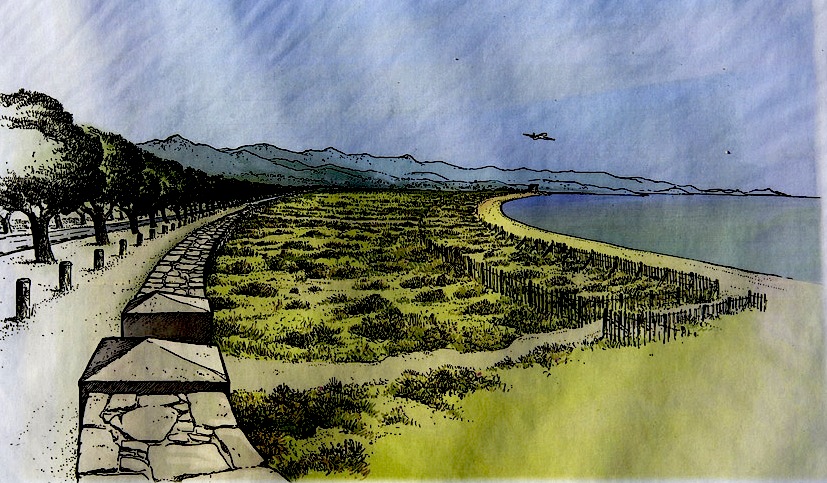 Les 40 ans du Conservatoire du Littoral : Ricantu-Capitellu, l’extraordinaire restauration écologique