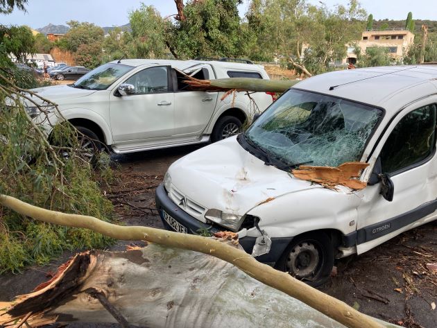 Le 18 août 2022, en début de matinée, une violente tempête s'abat sur la Corse provoquant notamment de nombreuses chutes d'arbres, comme ici à Ajaccio (Photo : Archives Michel Luccioni)
