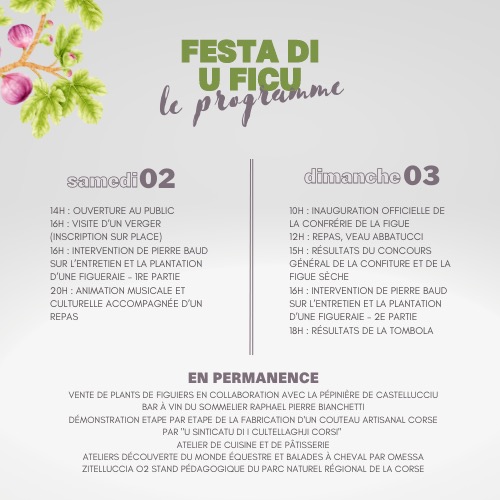 Peri : A Festa di u Ficu célèbre son 20ème anniversaire ce week-end