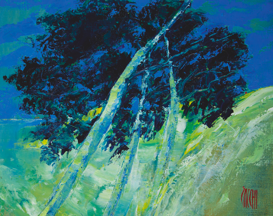 Bastia : Les peintures de Jean-Marie Zacchi illuminent les locaux de Vision Futura