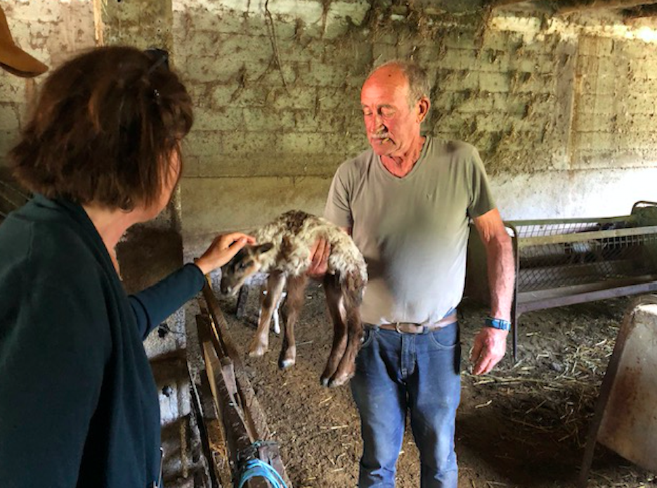 Crédit photo Jeanne Leboulleux-Leonardi