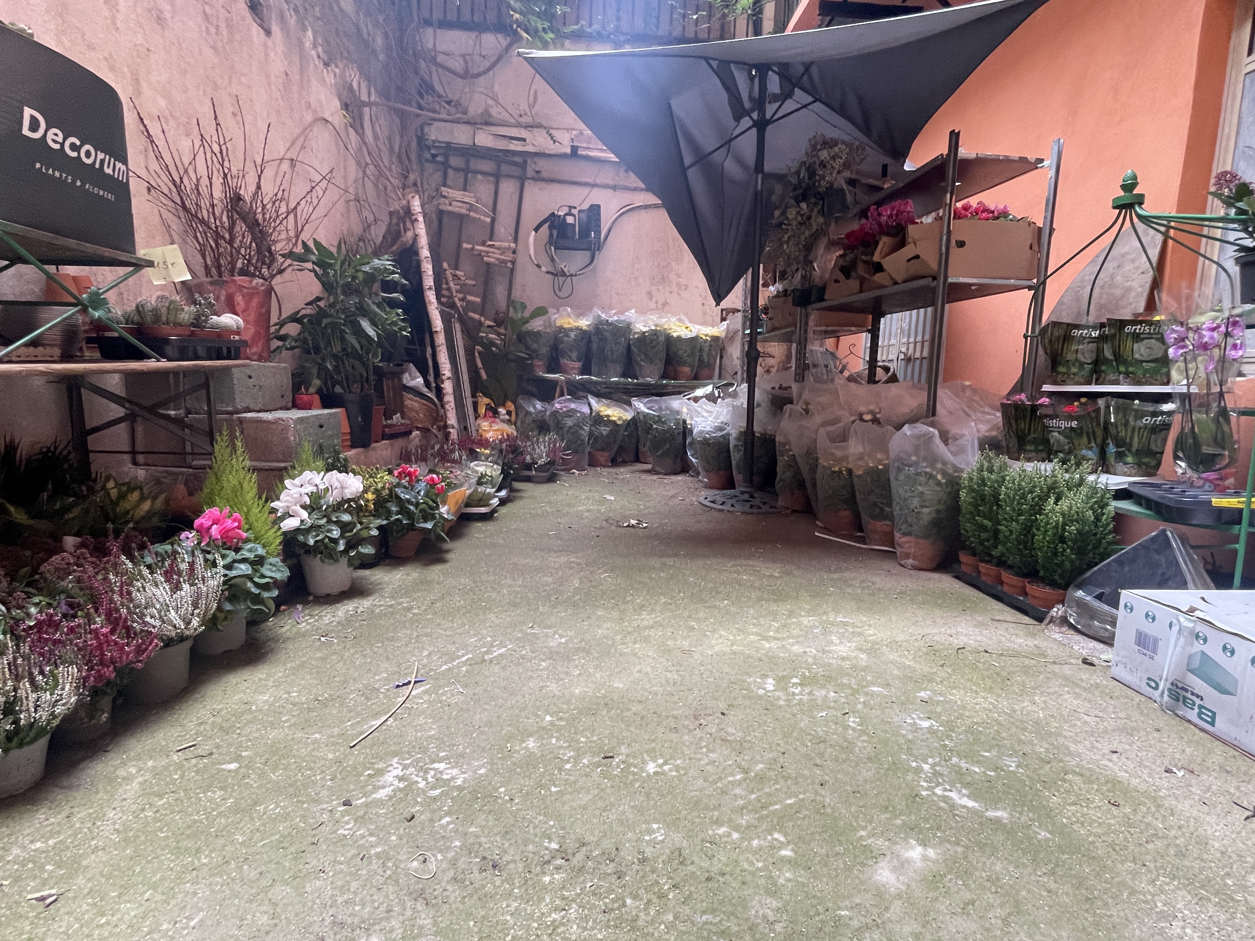 Les stocks de fleurs de la boutique l'Orchidée sont prêts pour la Toussaint, ils n'attendent plus que les acheteurs.