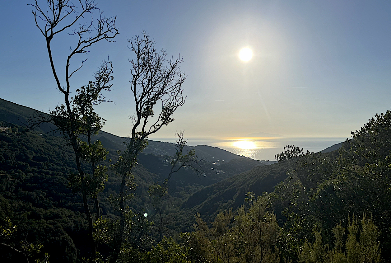La météo du jour en Corse