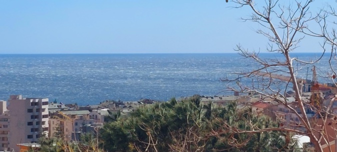 (Françoise Geronimi)