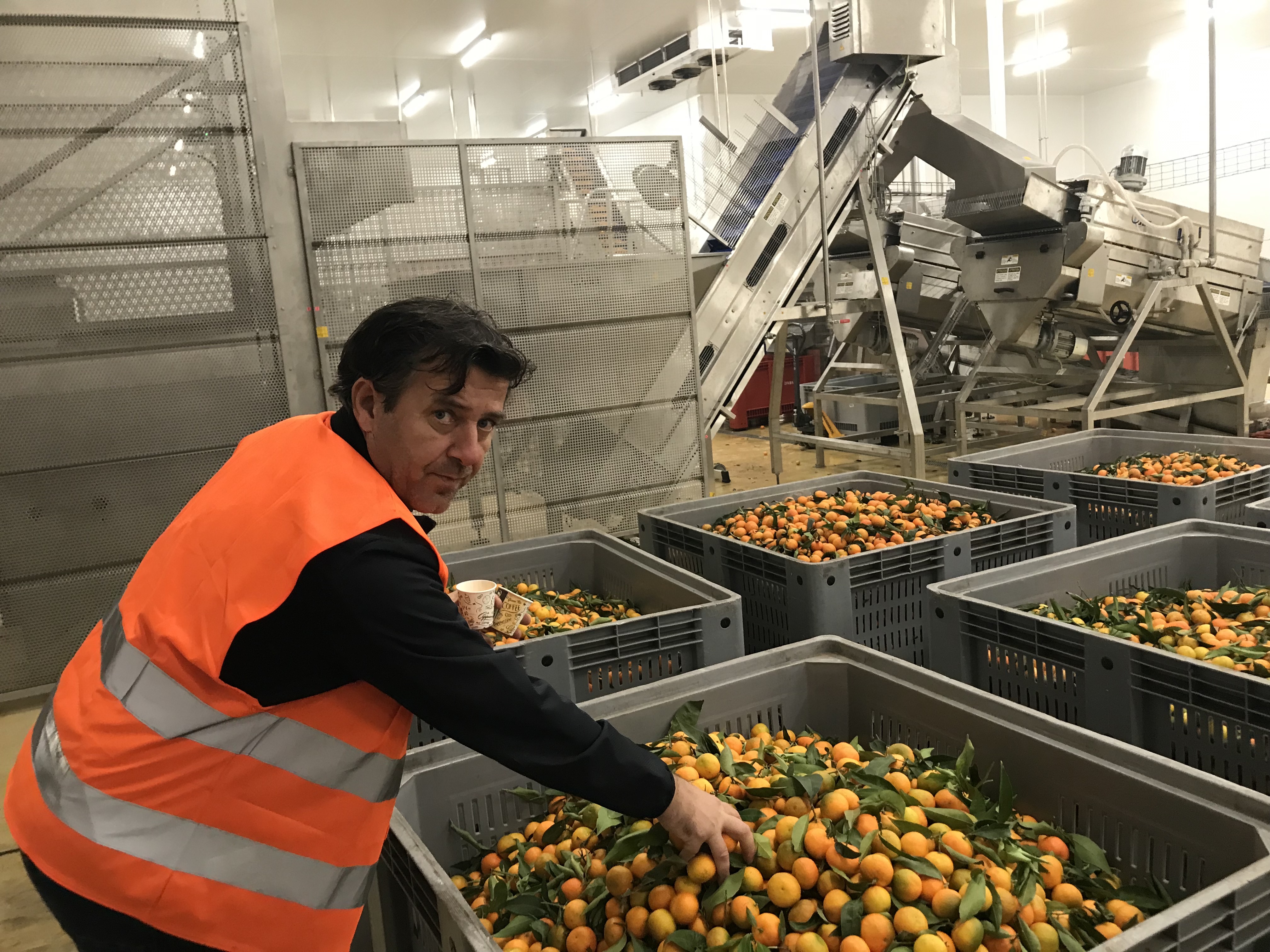 David Casoni est le directeur de Fruticor, l'usine de laquelle vont ensuite sortir les clémentines commercialisées par Corsica Comptoir. En arrière-plan, l'extracteur à jus.