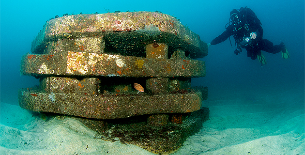 Des récifs artificiels innovants recréant les conditions d’un habitat naturel, pour accueillir les espèces locales. (©Mathieu Foulquié - SEANEO)