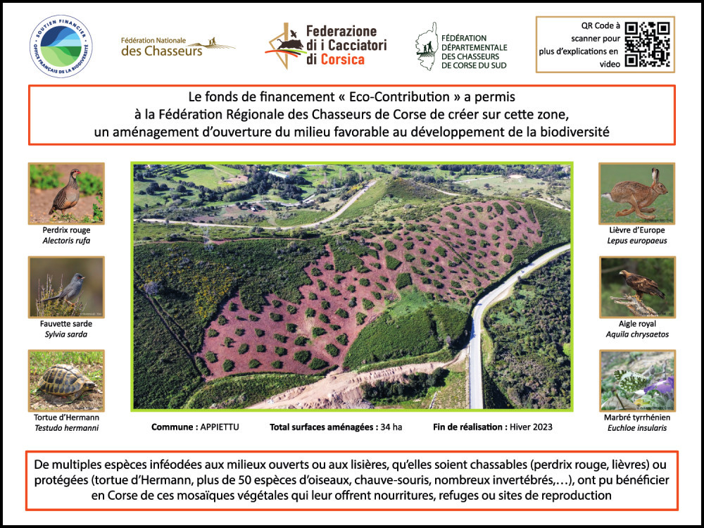 Le travail d’ouverture du milieu des chasseurs s’amplifie en Corse
