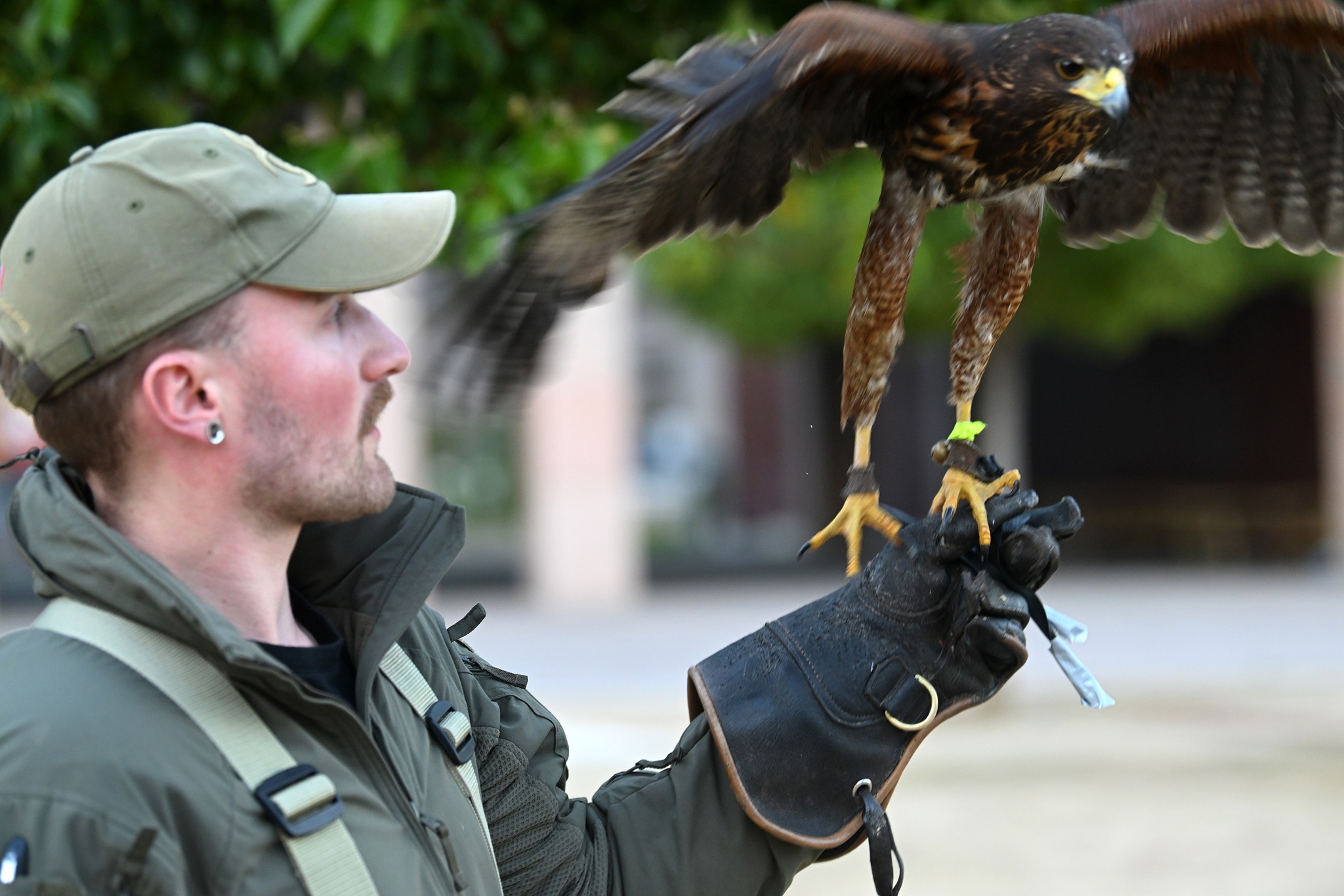 Crédit photo Ville d'Ajaccio