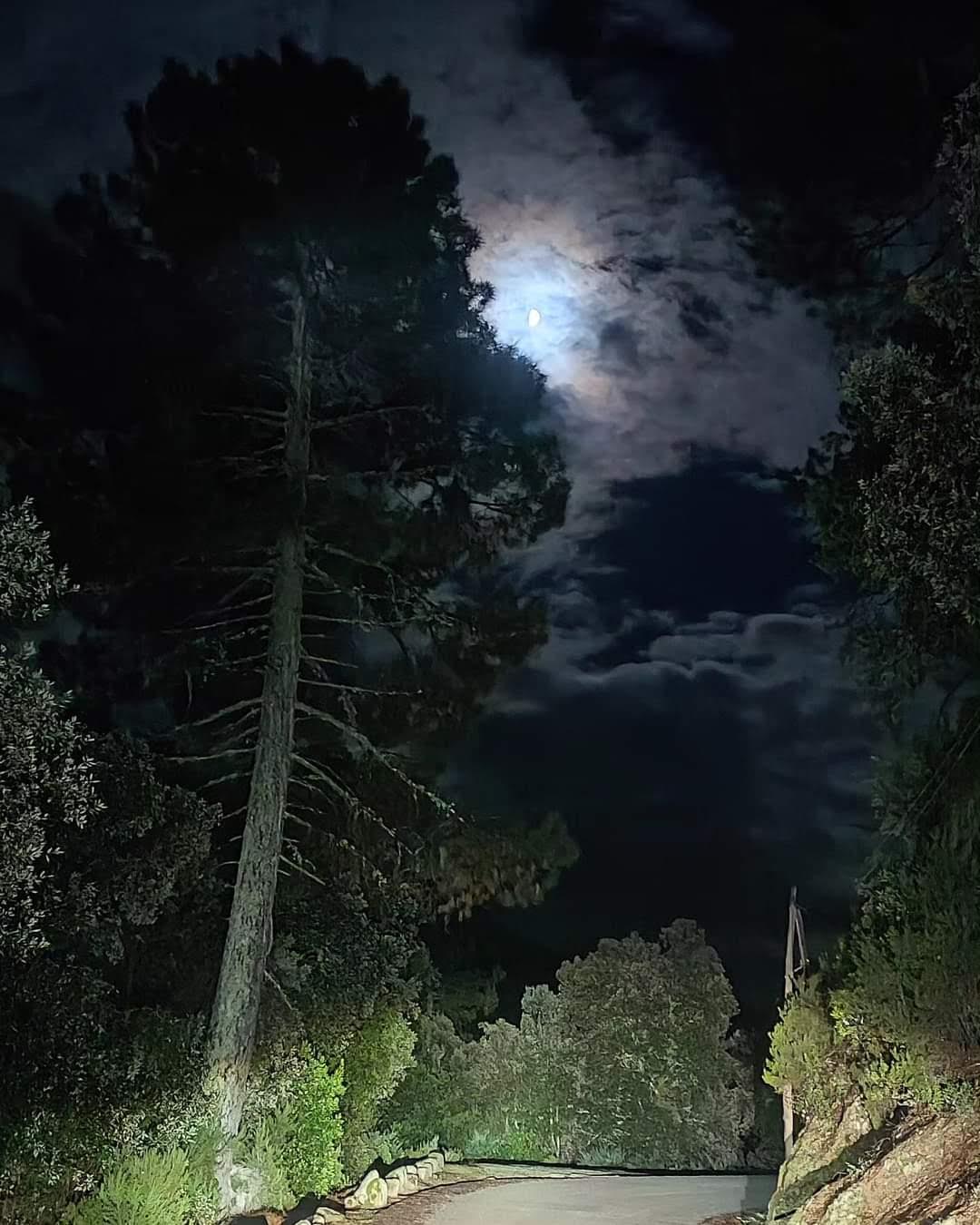 Azzana (Sandrine Sanna-Battesti)