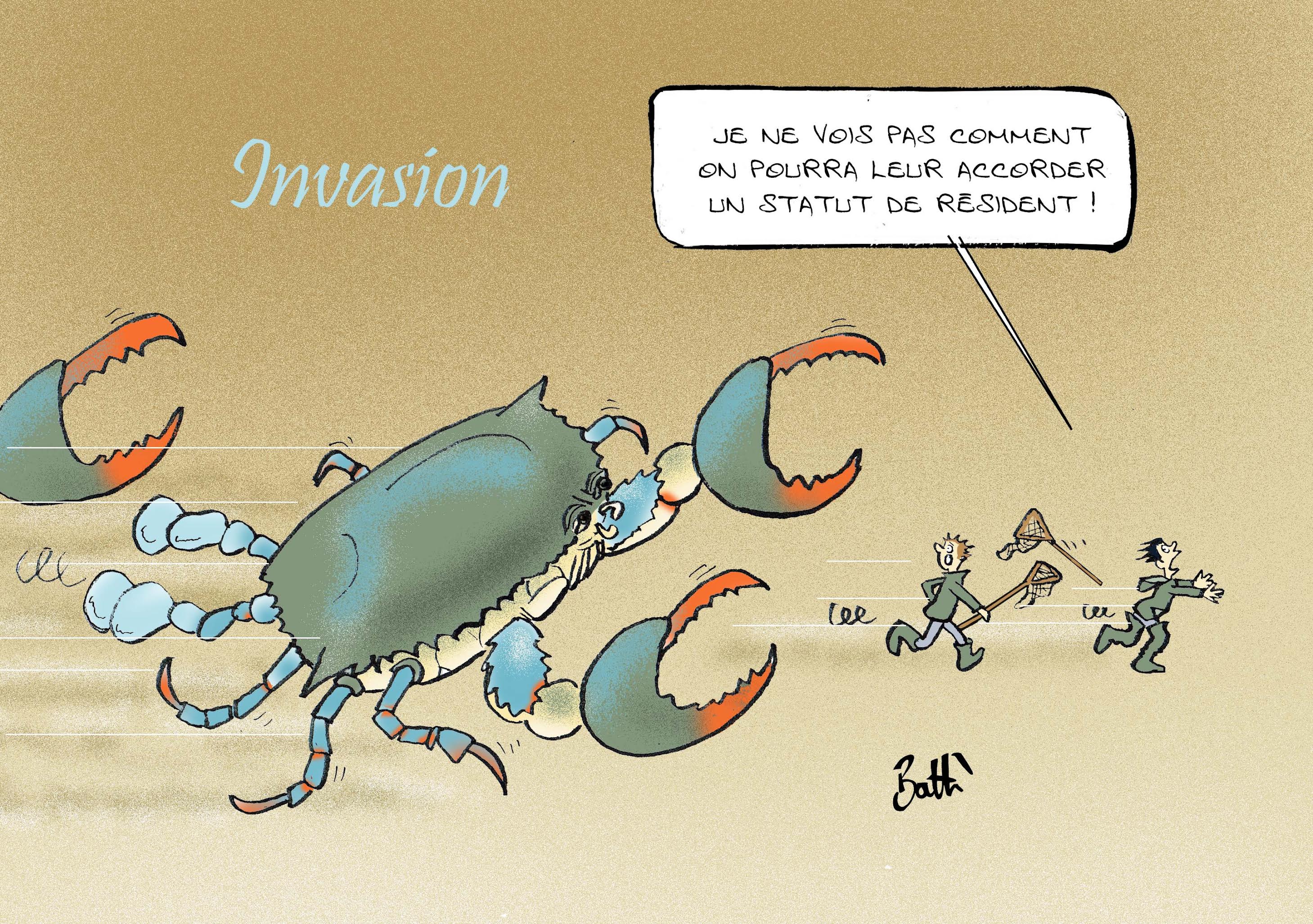 Le dessin de Battì : quel statut pour le crabe bleu ?