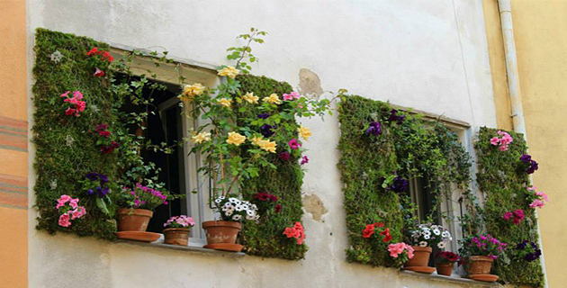 La fenêtre gagnante d'Aurelien Duboc