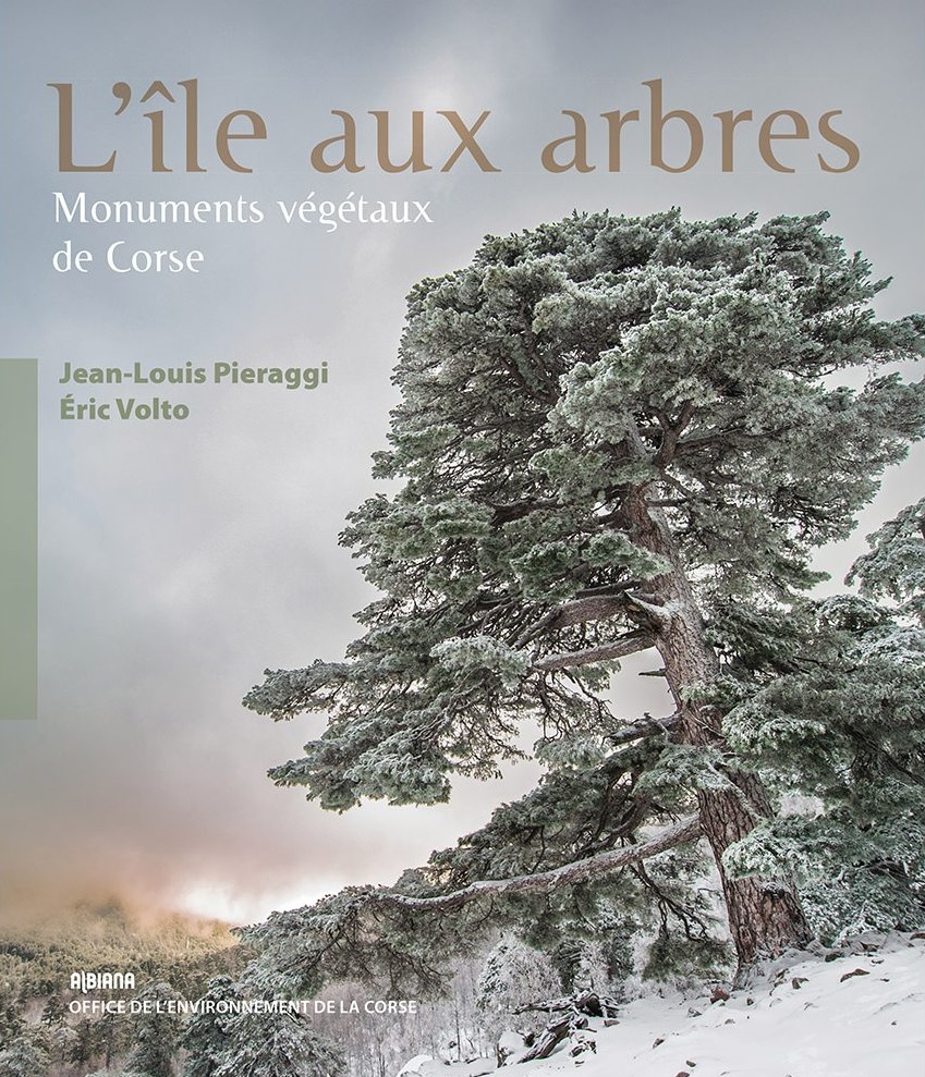 "L’île aux arbres" : Un ouvrage qui célèbre les monuments végétaux de Corse