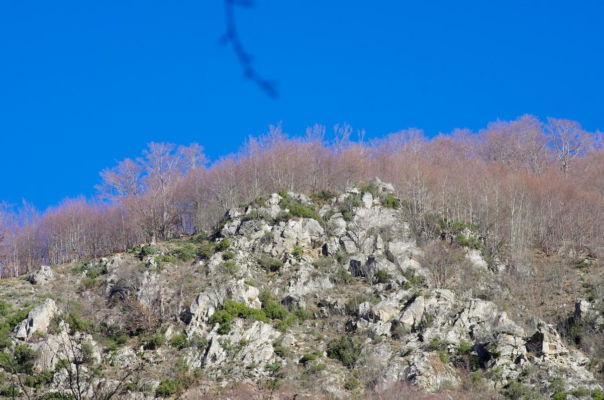 Dans la haute Gravona (Joseph Dornbusch)