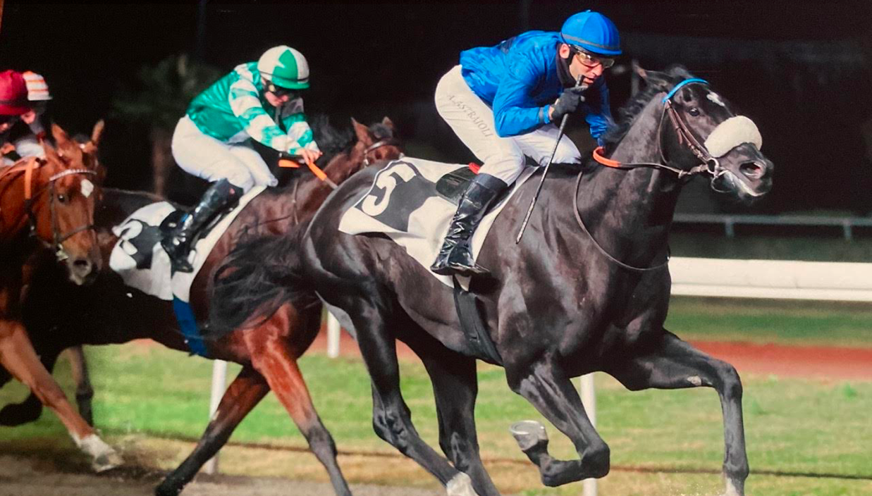 Hippisme : Retour gagnant pour Alexandre Lastrajoli