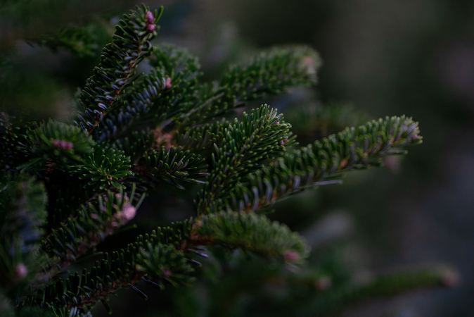 Photo d'illustration