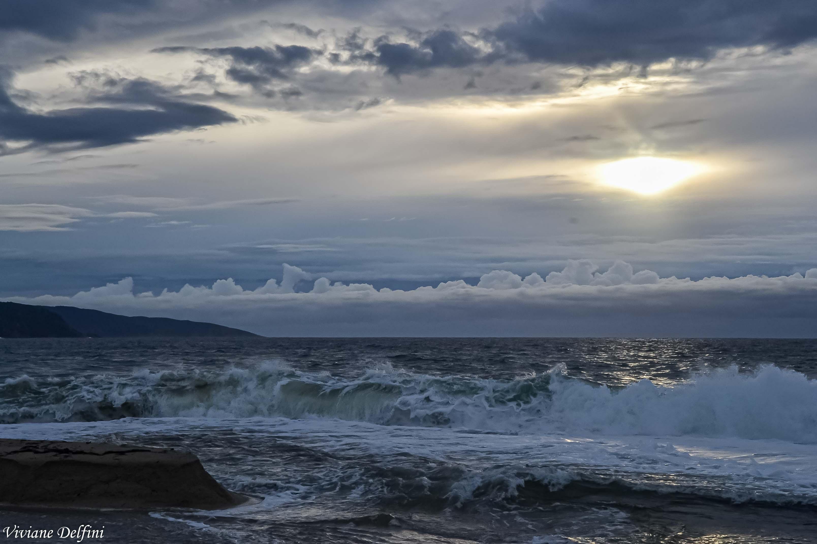 La plage du Liamone (Viviane Delfini)